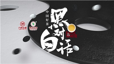 首屆黑白對話高峰論壇圓滿落幕！湘益茯茶備受關(guān)注！